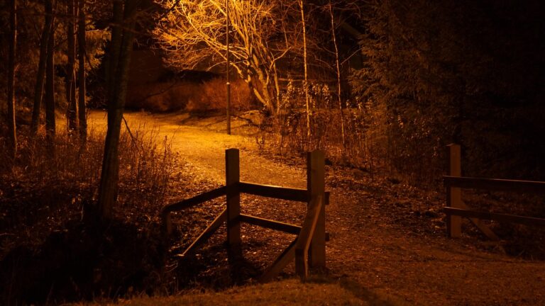 night-picture-208896_1280